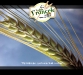 lezak_francek_poster01