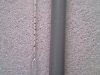 imag0985