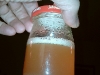imag1156
