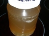 p1100709
