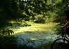 Největší bažina světa - Pantanal, Brazílie..