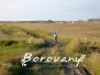 Borovany - U rybníka