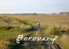 borovany_flash