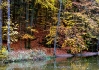 Japonsko hadr..