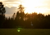 Pozor, nejedná se o žádnou fotomontáž, ale původní fotografii, vykouzlenou tajemnými odrazy ve sklíčky objektivu! :)