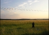 PISS STOP  Pozor! Doma to raději nezkoušejte.. Číslo je prováděno profesionálními kaskadéry  (styl bruggi tajga natural)  
