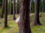 Kempíček - Camp Pohoda